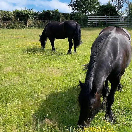 Ferienhaus Le Vieux Fournil
